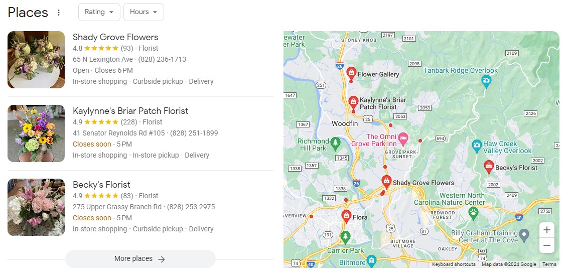 Google Local Search Results Pack